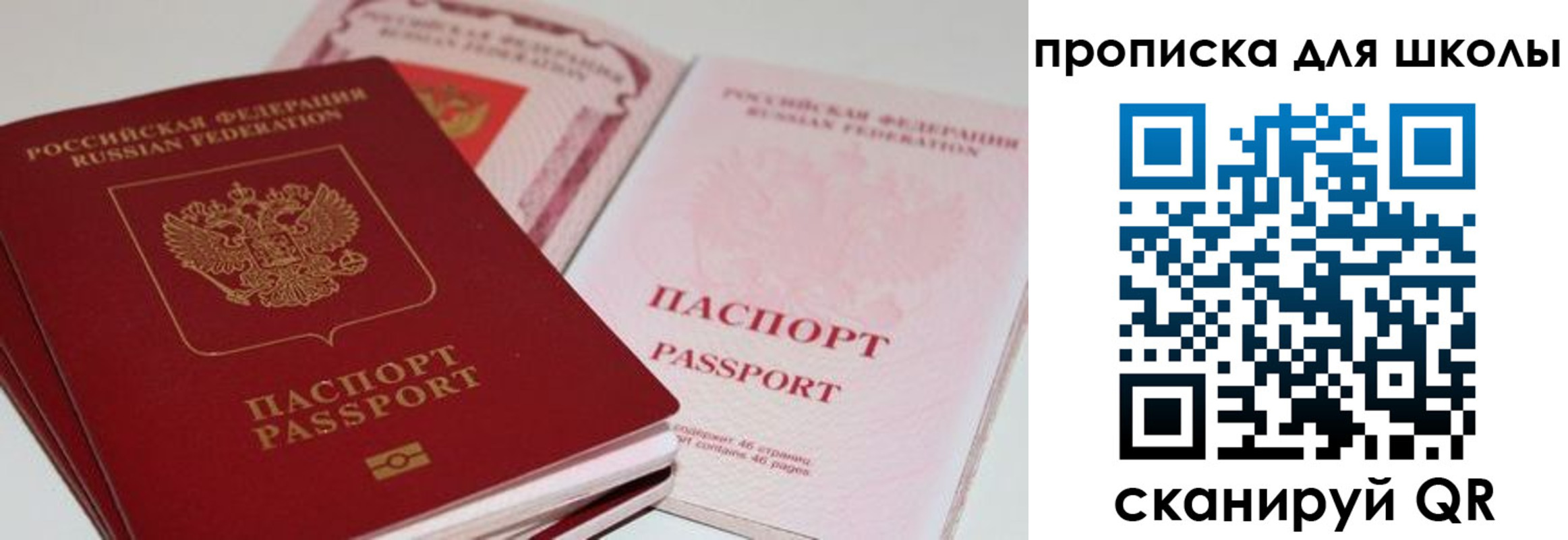 прописка для школы в Бийске